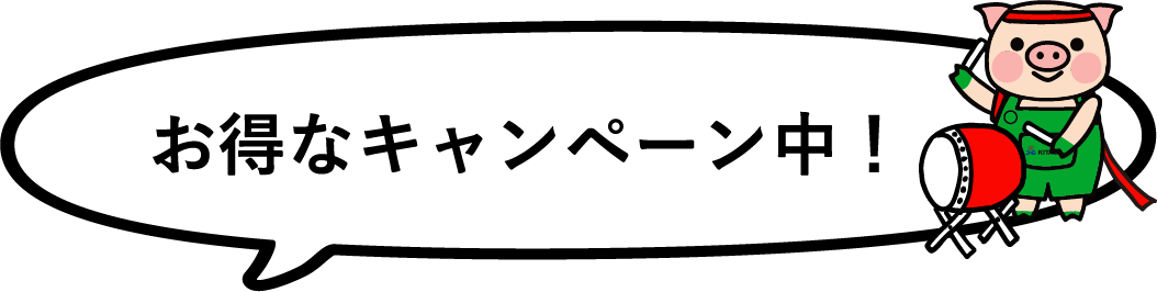お得なキャンペーン中