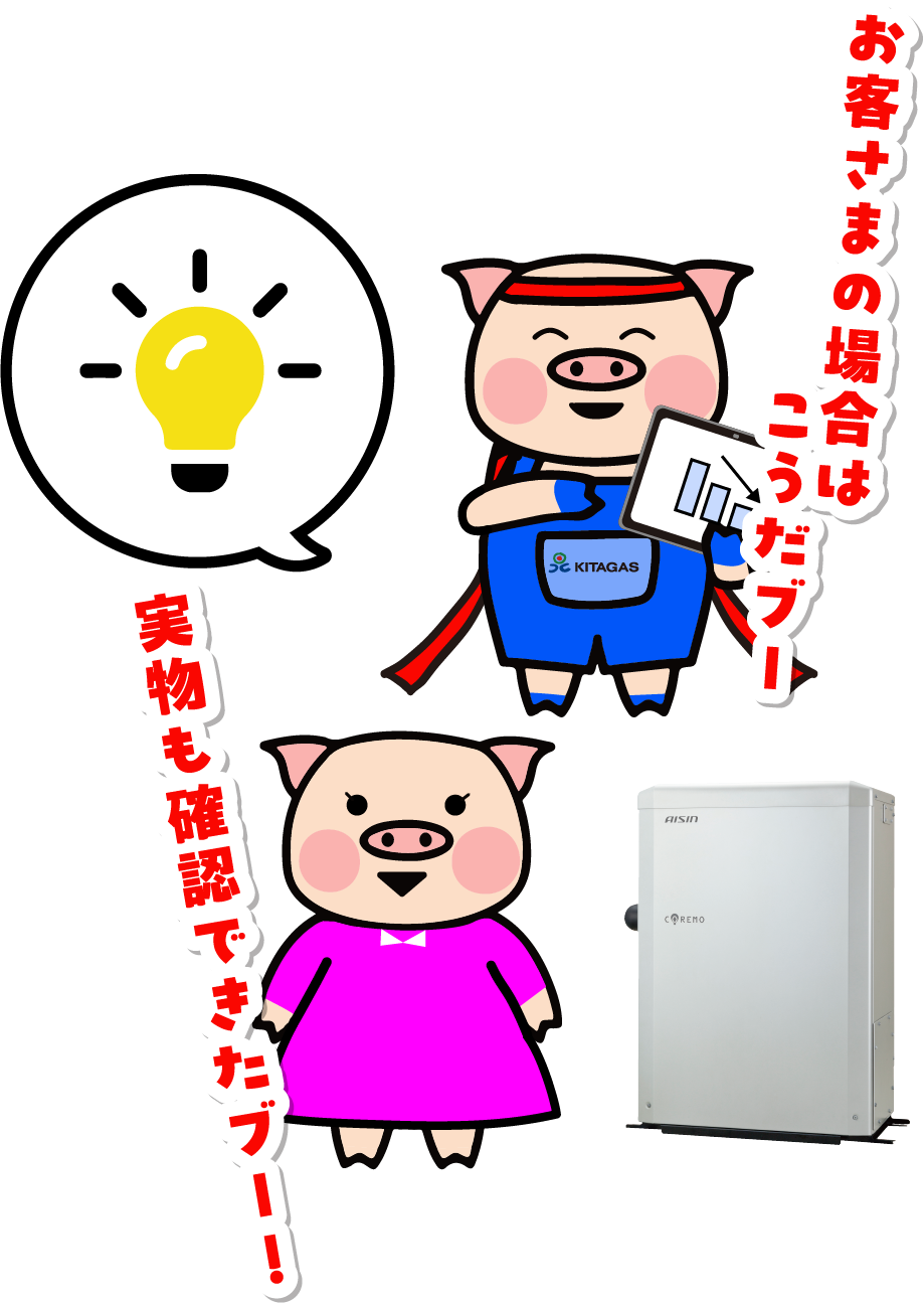 千歳市・築15年以上　M様の場合のグラフ